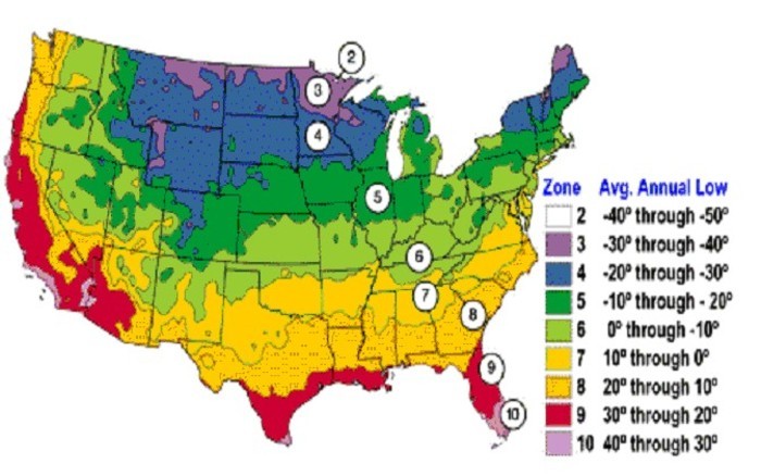 Us Planting Zone Chart