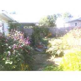 If I can do it,  so can you -  START TODAY